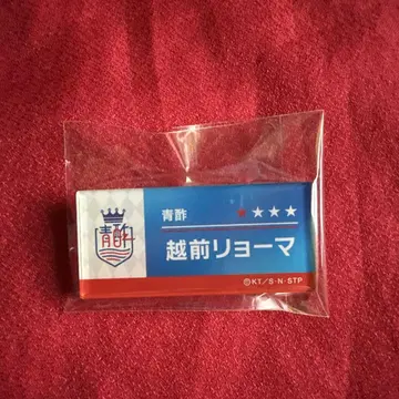 신 테니스의 왕자님 유닛 멤버 네임 배지 에치젠 료마 파란 식초