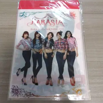 KARA KARASIA 클리어 파일 A4 사이즈