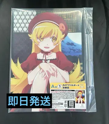 히코쿠지 모노가타리 시리즈 A상 1 오시노 시노부 A4 아크릴 보드