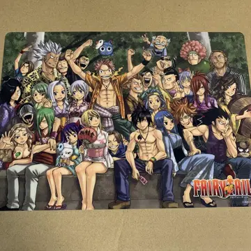 FAIRY TAIL 페어리 테일 책받침