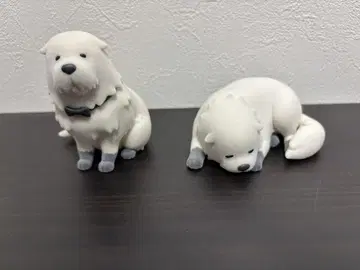 스파이 패밀리 본드 피규어