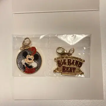 디즈니씨 빅뱅 비트 참 미니