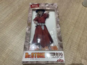 Gigo 한정판 Dr.STONE 나나미 류스이 BIG 아크릴 스탠드