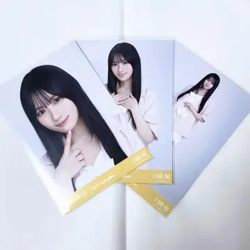 카와사키 사쿠라 썸머 자켓 컴프