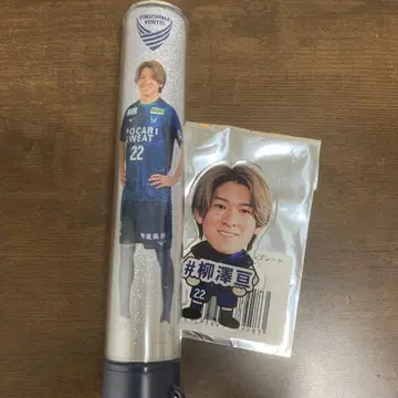 도쿠시마 보르티스 야나기사와 와타루