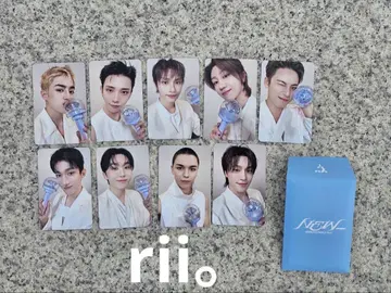 seventeen 캐럿 존 풀세트