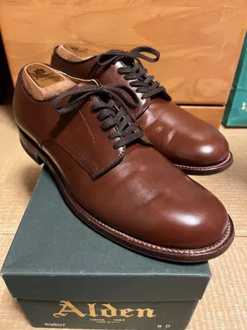 ALDEN 알든 밀리터리 라스트 53713