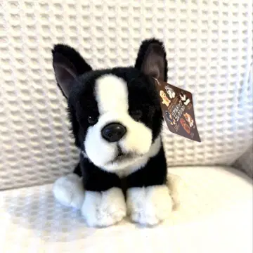 리얼 도그 컬렉션 프렌치 불독 봉제 인형 레가로