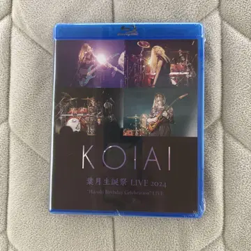KOIAI 하즈키 탄생제 LIVE 2024