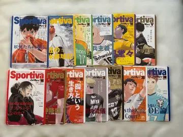 하이큐 쇼세츠반 Sportiva 비주얼 보드 전 종류 세트