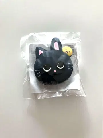 RIIZE 라이즈 부채 액세서리 원빈 토냥이