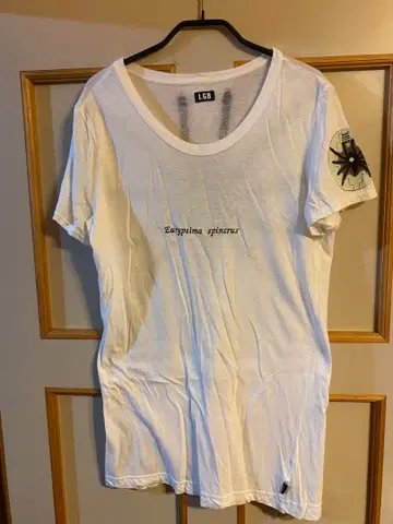 LGB 스파이더 그래픽 T셔츠