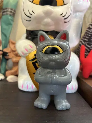 리얼 헤드 포춘 키드