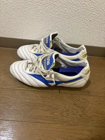 모렐리아 레전드 블루
