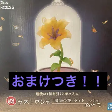 제일복권 디즈니 프린세스 라푼젤 라스트 원상