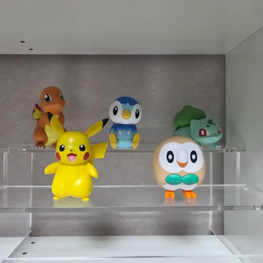 Pocketpla 5 types bulk sell