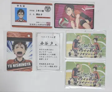 하이큐 리베로 패러디 니시노야 카드 세트 레어 학생증