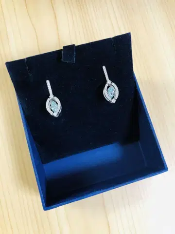 스와로브스키 Swarovski Sparkling Dance 귀걸이