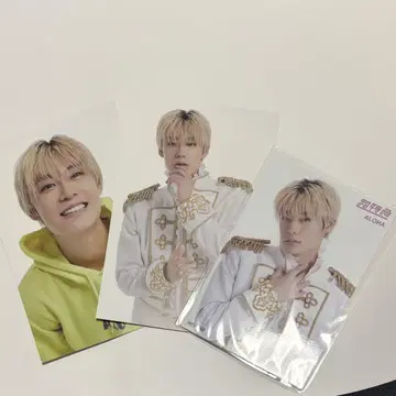 EBiDANmuseum 2024 엽서 브로마이드 알로하