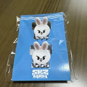Stray Kids 미니 헤어 클립 2개 세트 리 비트