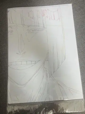 BLEACH 블리치 클리어 파일 히라코 신지 우라하라 키스케