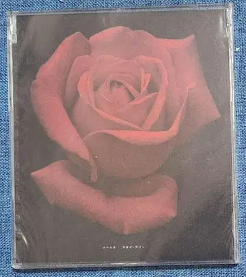 키요하루 빨간색의 영원/죄를 씻는 들장미 회장 한정판 CD