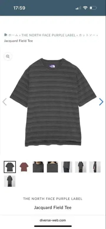 THENORTHFACEPURPLELABEL JacquardFieldTee