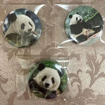 대팬더전 샹샹 캔뱃지 세트