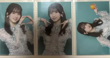 노기자카46 네이블 오렌지 미니 브로마이드 스가와라 사츠키 컴프