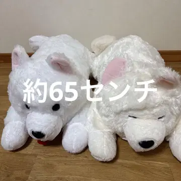 9 나른한 사모예드군 엎드림 울트라BIG 봉제 인형 2종