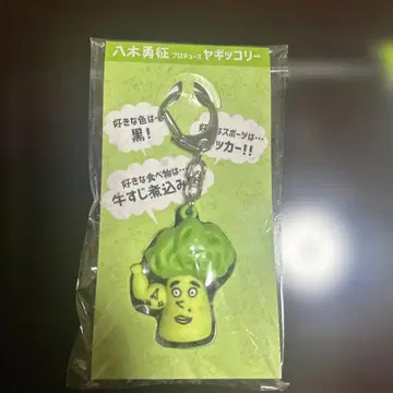 야기 유세이 야기코리