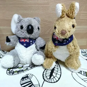 호주 코알라와 캥거루 타월 원단 봉제 인형 묶음 판매