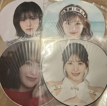 이시이 란 부채 4개 세트