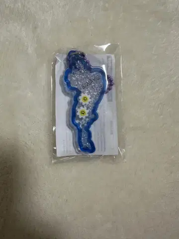 비와코 아크릴 키링
