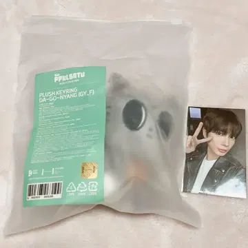 TXT PPULBATU 뿔바투 키링 다고냥 트레이딩 카드 태현