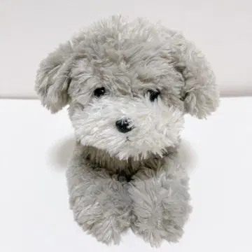 산레몬 무릎 강아지 토이 푸들 그레이 S사이즈 봉제 인형