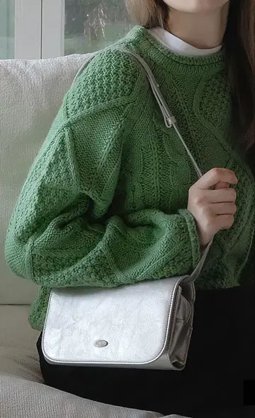 DBERNO 트래블 여권 백 실버 빅 버전