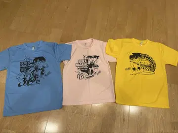 명탐정 코난 돗토리 수박 참마 마라톤