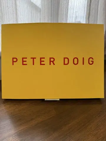 피터 도이그 PETER DOIG 전시 도록 화집