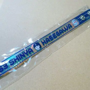 사이타마 세이부 라이온즈 SD 오로라 블레스 하세가와 신야