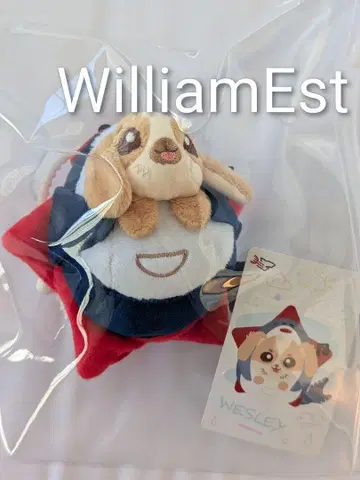 미개봉 새상품 ] WilliamEst 봉제 인형 키체인 GMMTV 공식