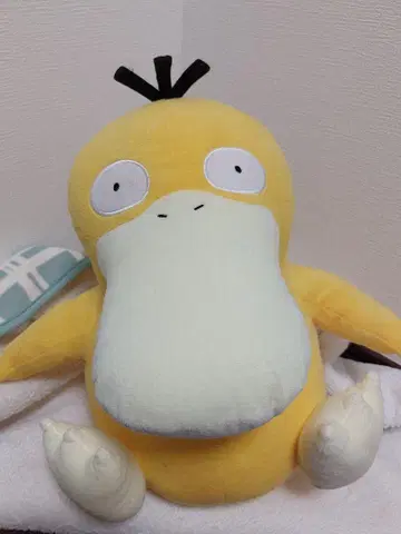 코닥 봉제 인형 중형