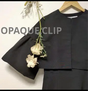 OPAQUE CLIP 블랙 오부 소매 드레스