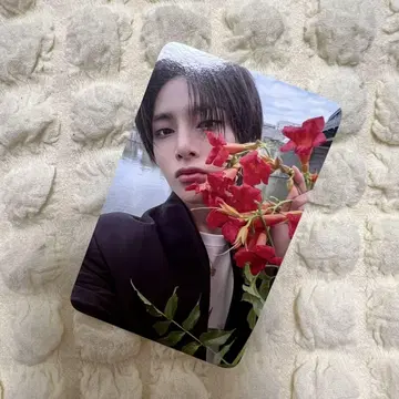 Stray Kids 아이엔 POPUP 구매 혜택 1주차 KARMA