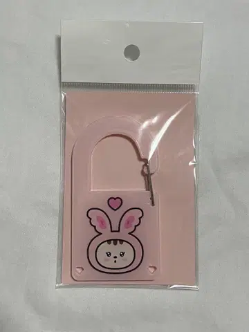 SEVENTEEN 세븐틴 miniteen 정한 라무 카라비너