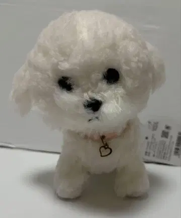 팝스 봉제 인형 S 비숑 프리제 미사용품