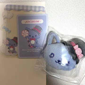 JOCHUM 캔디 시리즈 레인