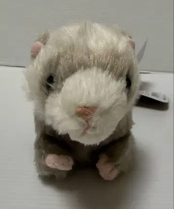 플러피 봉제 인형 S 페럿 미사용품