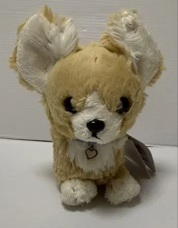 파푸스 봉제 인형 치와와 BE 미사용품