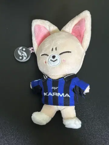straykids 아이엔 폭시니 skzoo ver.